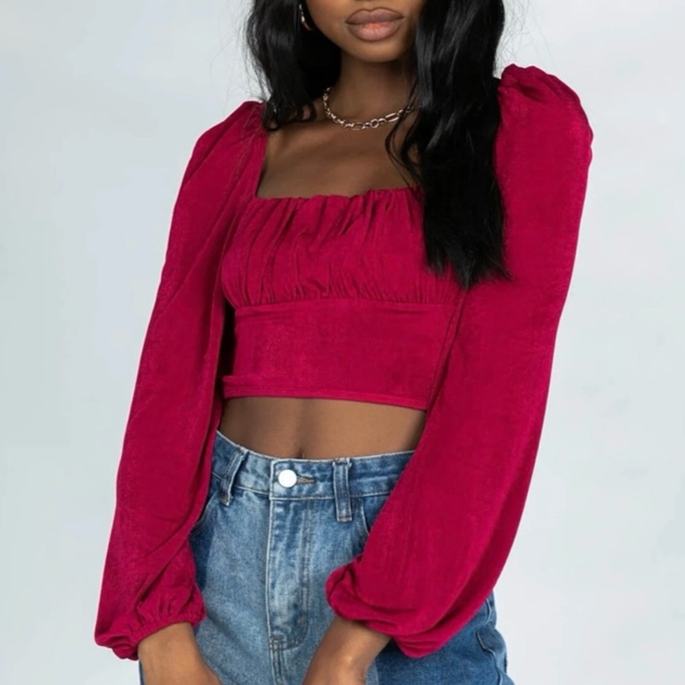 Princess Polly Ariah Long Sleeve Mesh Top- Wine